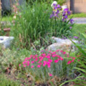 Meet your Posher, Leanne